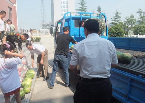 8868体育官网登录