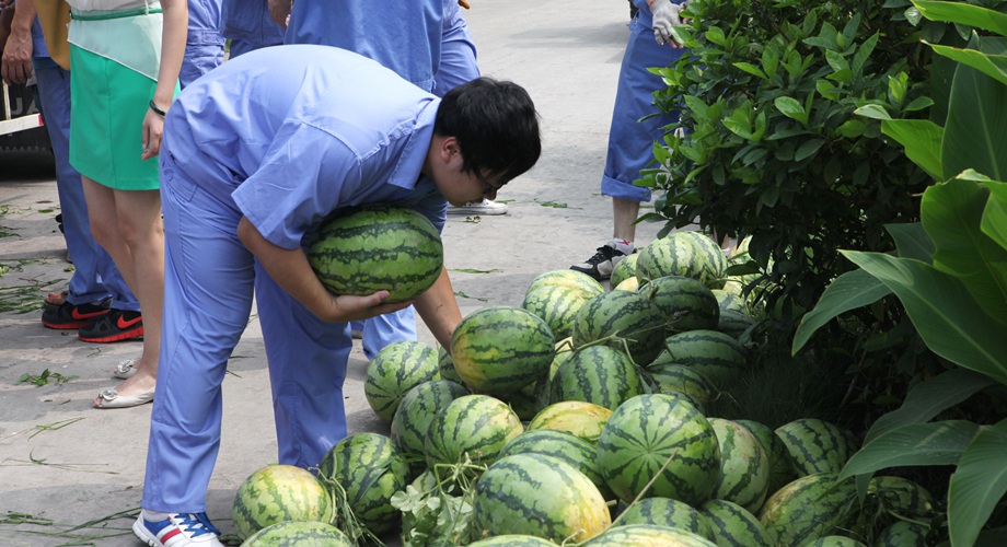 8868体育官网登录