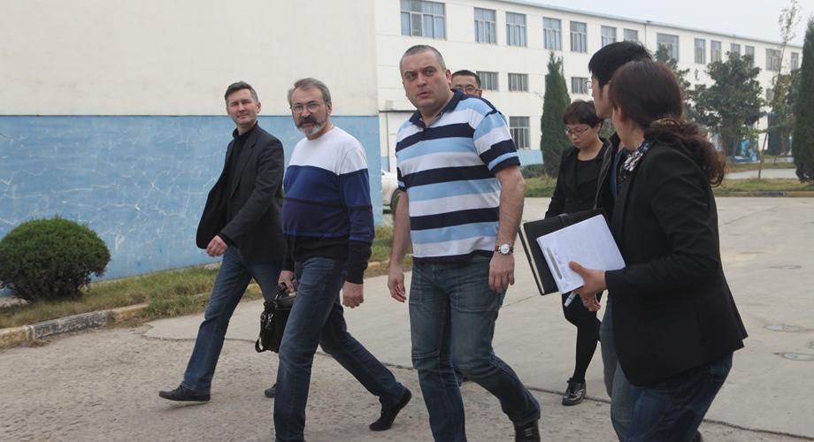 8868体育官网登录