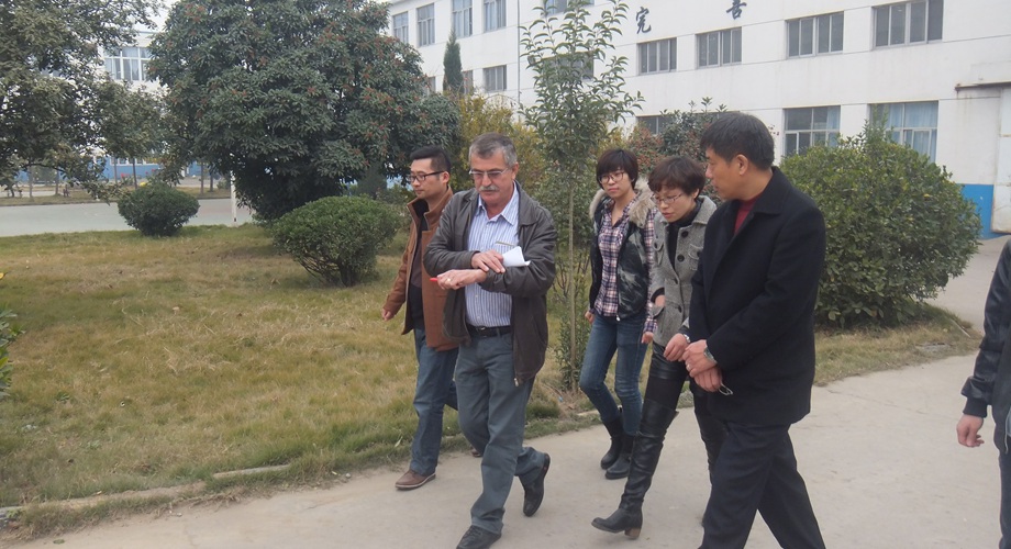 8868体育官网登录