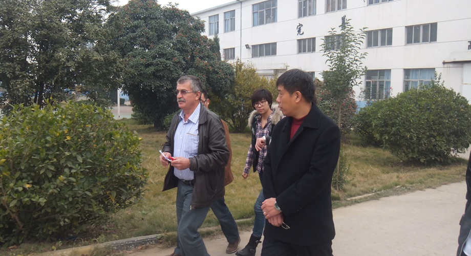 8868体育官网登录