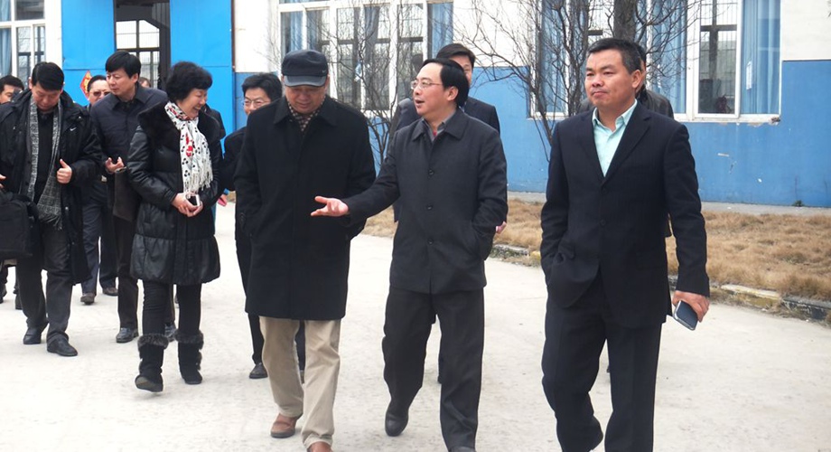 8868体育官网登录