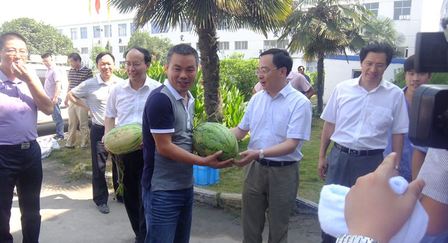 8868体育官网登录