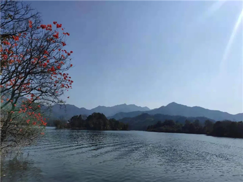 8868体育官网登录