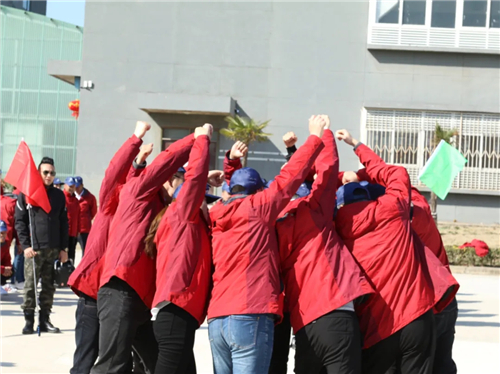 8868体育官网登录