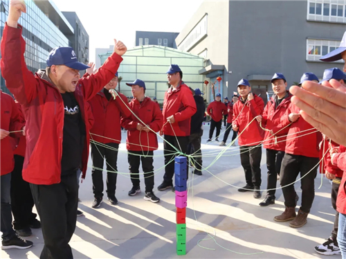 8868体育官网登录