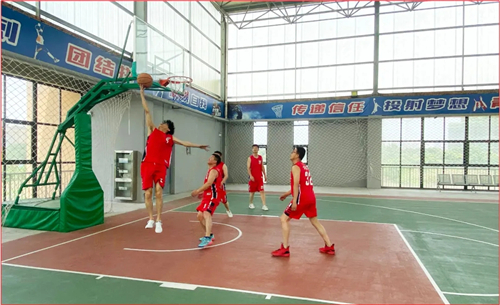 8868体育官网登录