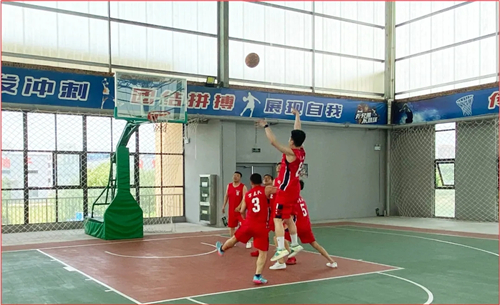 8868体育官网登录