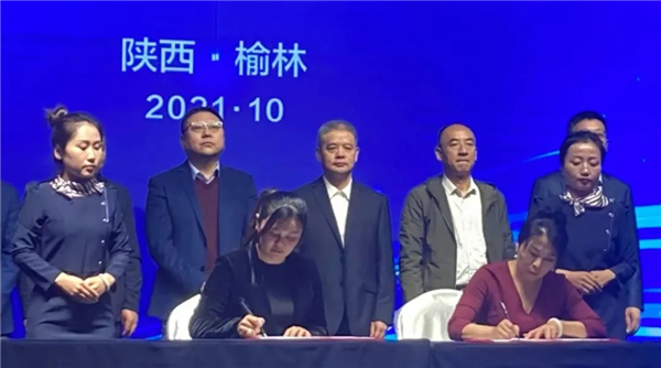 8868体育官网登录