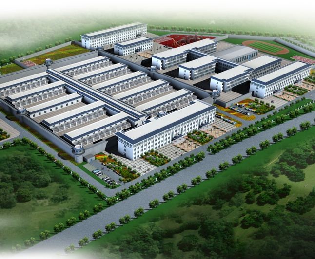 201907051562296851621680.jpg 6.jpg