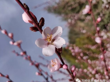 8868体育官网登录徒步登山