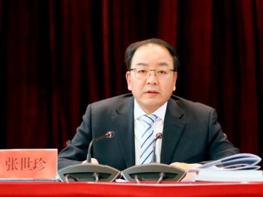 关于印发张世珍副省长在全省科技 工作会议上讲话和全省科技 工作会议报告的通知（下..